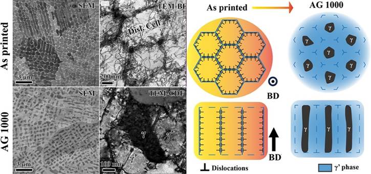 图片包含 图示 AI 生成的内容可能不正确。